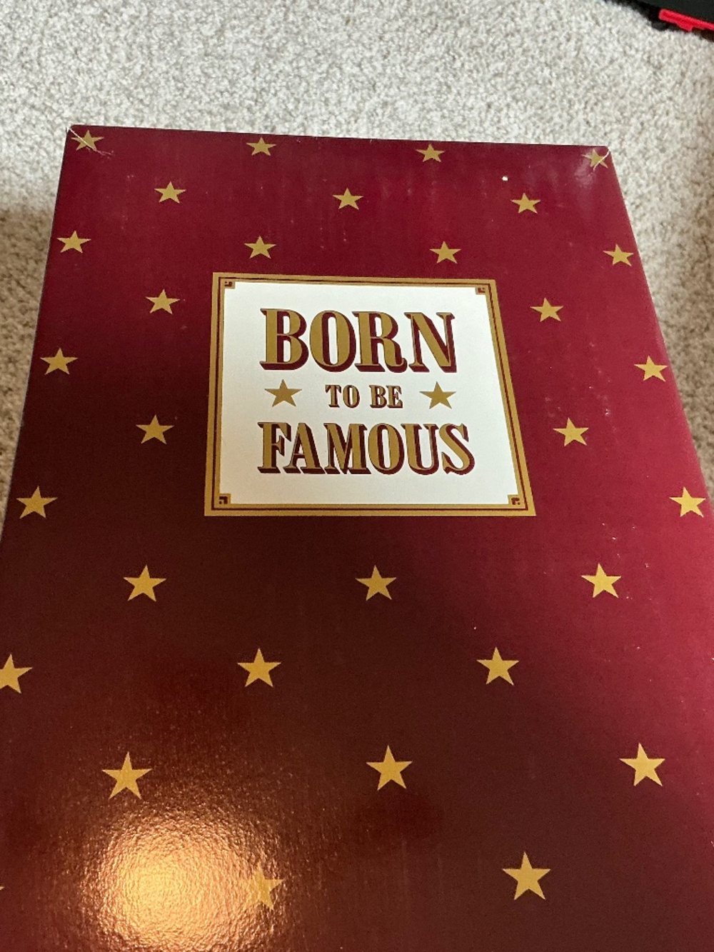 3 - Ashton Drake “Born To Be Famous” Dolls